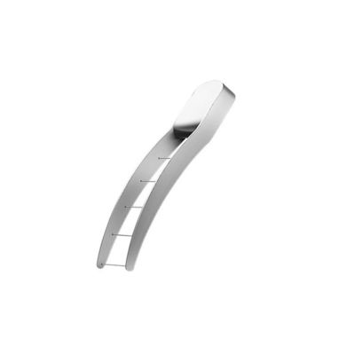 Tagliatore di anguria All-in-One 304 Acciaio inossidabile