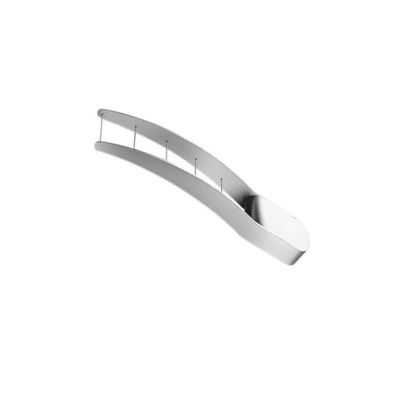 Tagliatore di anguria All-in-One 304 Acciaio inossidabile