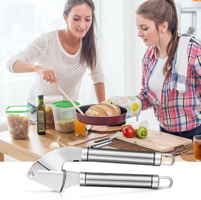Macchiatore di aglio, ortaggi, pepe, zenzero, spremitore, strumento di frantumazione portatile, accessori da cucina