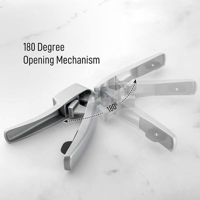 2 in 1 Ginger Chopper Aluminum Alloy Garlic Press E Garlic Slicer Con Logo Personalizzato