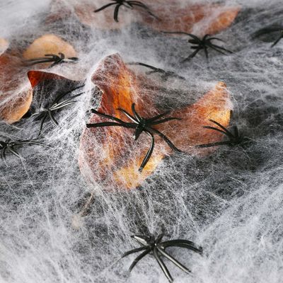 Polyester Spider Web Filato di cotone Casa infestata Decorazione per Halloween Party Requisiti