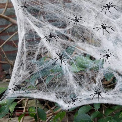 Personalizzabile Stretchy Halloween Spider Web Scena terrificante Requisiti per la casa infestata