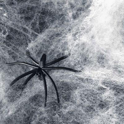 Personalizzabile Stretchy Halloween Spider Web Scena terrificante Requisiti per la casa infestata