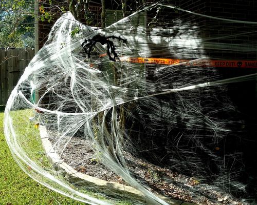 Personalizzabile Stretchy Halloween Spider Web Scena terrificante Requisiti per la casa infestata