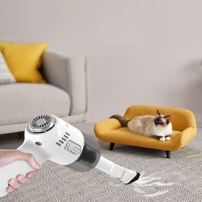 Assorbente portatile ad alta potenza con aspirazione 101-120AW e tecnologia wireless