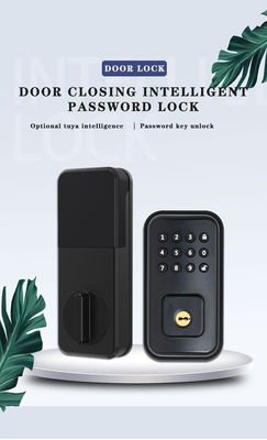 Proteggi la tua porta con il blocco intelligente digitale a batteria e l'app Wi-Fi TTlock Tuya