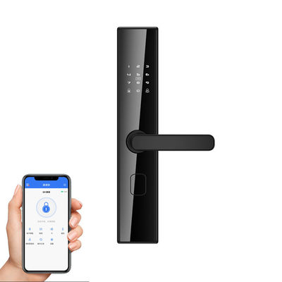 Maniglia digitale di porta di sicurezza esterna con Tuya Ttlock e riconoscimento delle impronte digitali
