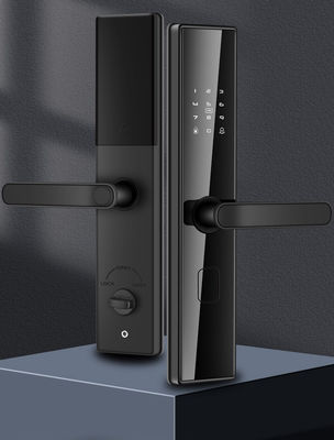 Maniglia digitale di porta di sicurezza esterna con Tuya Ttlock e riconoscimento delle impronte digitali